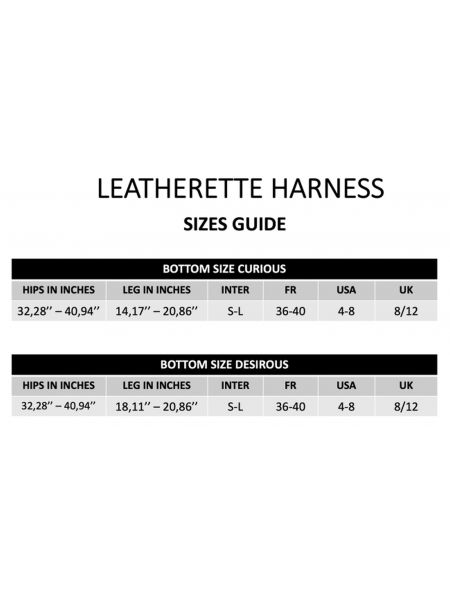 Pas Strapon Leatherette Harness Curious - 11