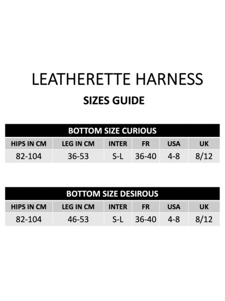 Pas Strapon Leatherette Harness Curious - 12