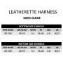 Pas Strapon Leatherette Harness Curious - 13