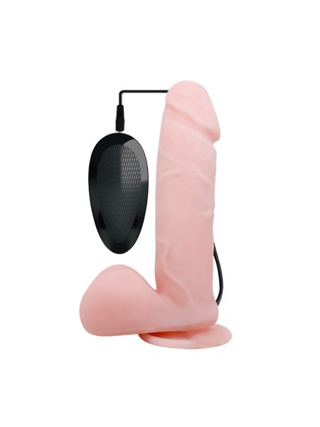 Penis jak prawdziwy członek jądra dildo 19cm