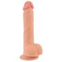 Prawdziwy penis żyły jądra główka naturlany 21cm - 4