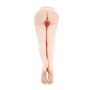 Realistyczny masturbator ciało wibracje głos 80cm - 3