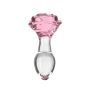 Pillow Talk - Rosy Luxurious Glass Anal Plug with Bonus Bullet - 2