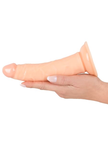 Zakrzywione dildo żylaste penis z przyssawką 18cm - 11