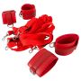 Bad Kitty Bed Restraint Set - 4