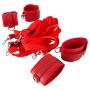 Bad Kitty Bed Restraint Set - 5