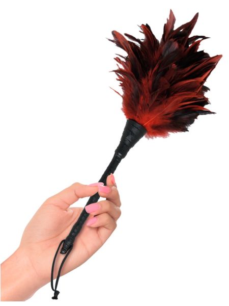 FFS Frisky Feather Duster - 5