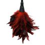 FFS Frisky Feather Duster - 4